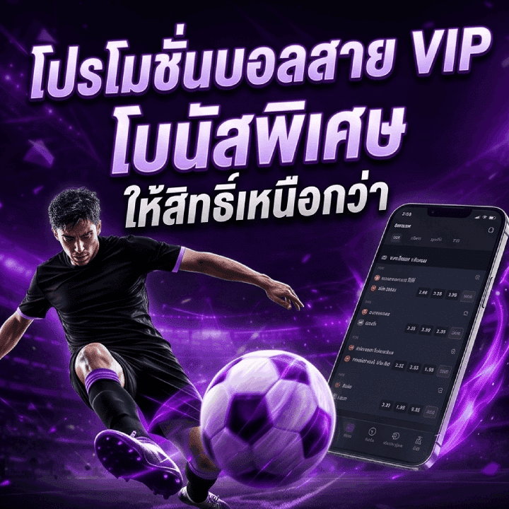โปรโมชั่นบอลสาย VIP โบนัสพิเศษ