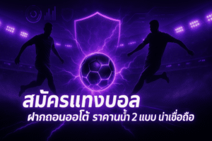 สมัครแทงบอล ฝากถอนออโต้